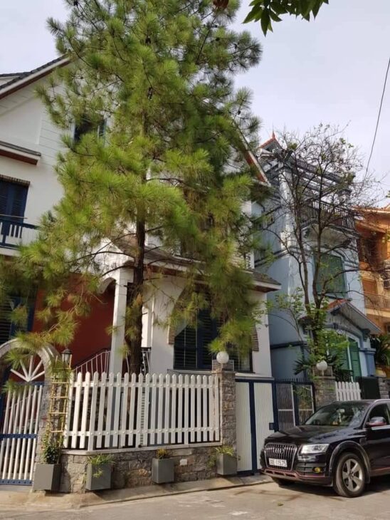 SIÊU BIỆT THỰ-Khu Vườn Đào (Lạc Long Quân) 185m/ 5Tầng (Có Hầm), MT 25m 125 Tỷ