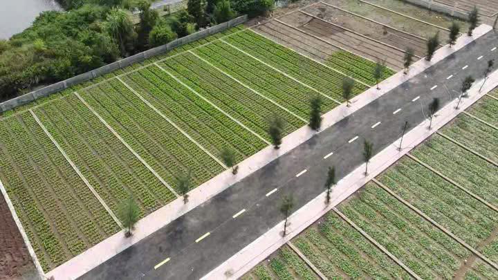 Đất nền Quất Lâm 1.9 tỷ – 100m² gần trường học và khu vui chơi – Nguyễn Hùng BĐS – 0989333012