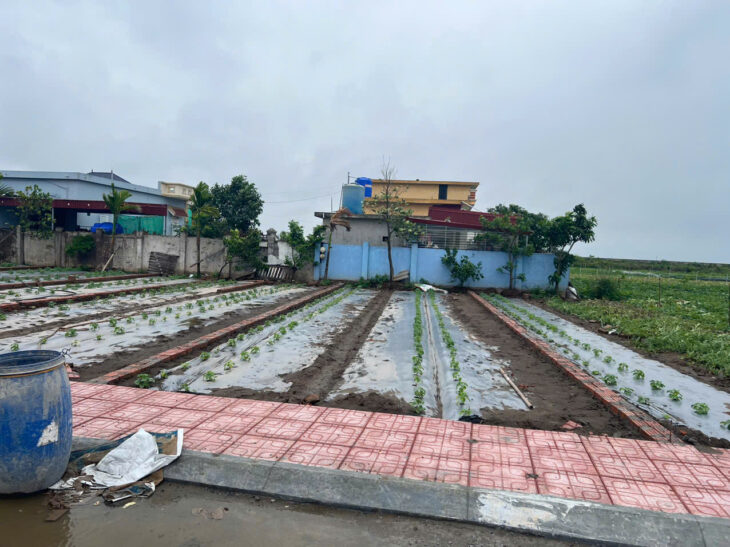 Đất nền Quất Lâm 1.7 tỷ – 100m² gần chợ đêm, thích hợp đầu tư homestay – Nguyễn Hùng BĐS –