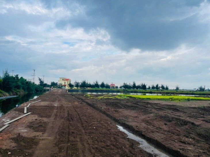 Đất nền Thị trấn Quất Lâm, Huyện Giao Thủy 1.6 tỷ – 100m² gần trường học, dân cư đông – Nguyễn Hùng
