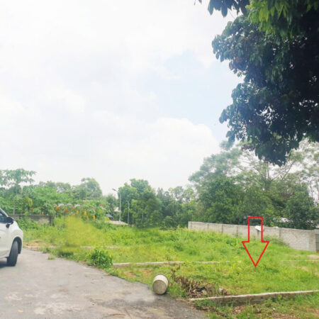 Thôn Triều Đông, xã Cổ Đông, thị xã Sơn Tây, TP. Hà Nội