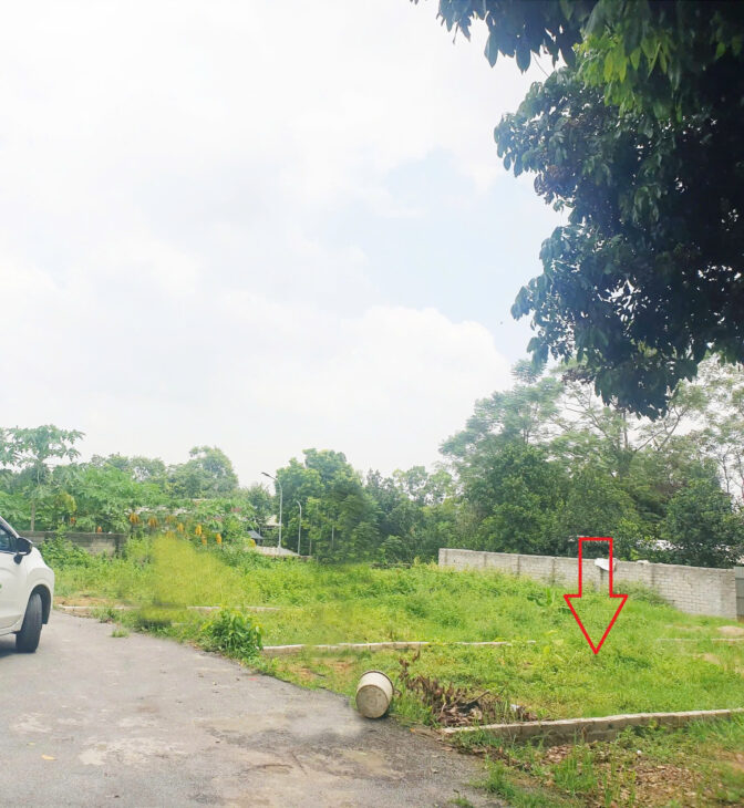 Thôn Triều Đông, xã Cổ Đông, thị xã Sơn Tây, TP. Hà Nội