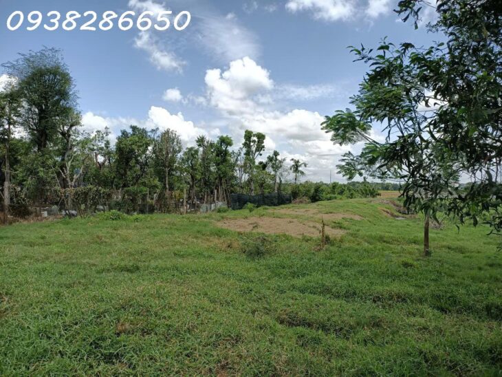 MẶT TIỀN KÊNH TRUNG ƯƠNG XUÂN THỚI THƯỢNG HÓC MÔN. DT: 5840M2 , GIÁ 10 TRIỆU/M2