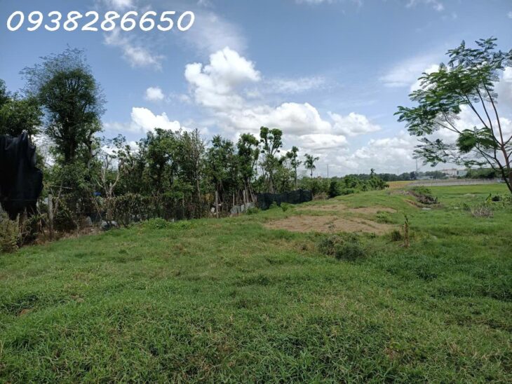 MẶT TIỀN KÊNH TRUNG ƯƠNG XUÂN THỚI THƯỢNG HÓC MÔN. DT: 5840M2 , GIÁ 10 TRIỆU/M2