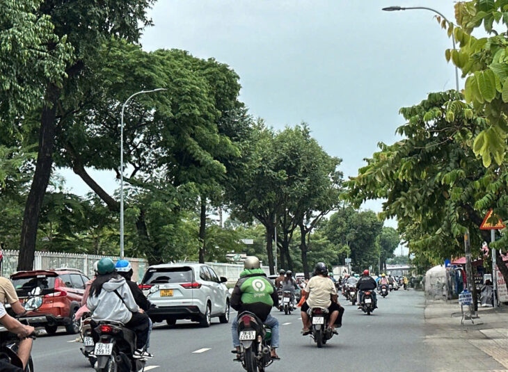 Giảm 3 TỶ còn 27 TỶ đường 16m Nguyễn Kiệm 127m2 ngang 6.5m 6 lầu T.máy ngay BV 175.