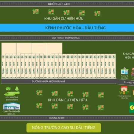 Đất thổ cư Định An, Dầu Tiếng, TP. Hồ Chí Minh giá 390 triệu/nền 225m2