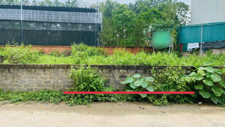 Bán đất nền Láng Hòa Lạc 100m2 giá 2.9 tỷ – sát khu công nghệ cao, tiềm năng sinh lời Nguyễn Hùng