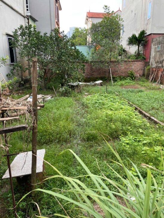 💥 ĐA TỐN GIA LÂM NGÕ THÔNG – Ô TÔ ĐỖ CỬA – GẦN VINHOMES – GẦN HỒ ĐIỀU HOÀ – GIÁ TỐT 💥