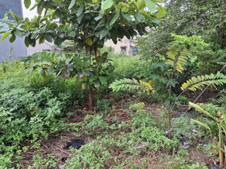 Đất vuông HXH 92m2, Vuông – Tô Ngọc Vân Q12