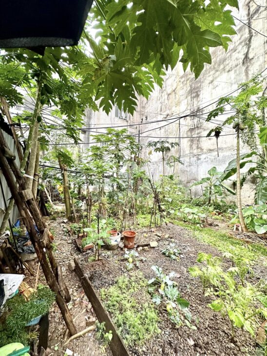 🌟 MẢNH ĐẤT PHÂN LÔ LÊ VĂN LƯƠNG, NGUYỄN NGỌC VŨ, Ô TÔ VÀO NHÀ, 180M2 MT 6.6M 🌟