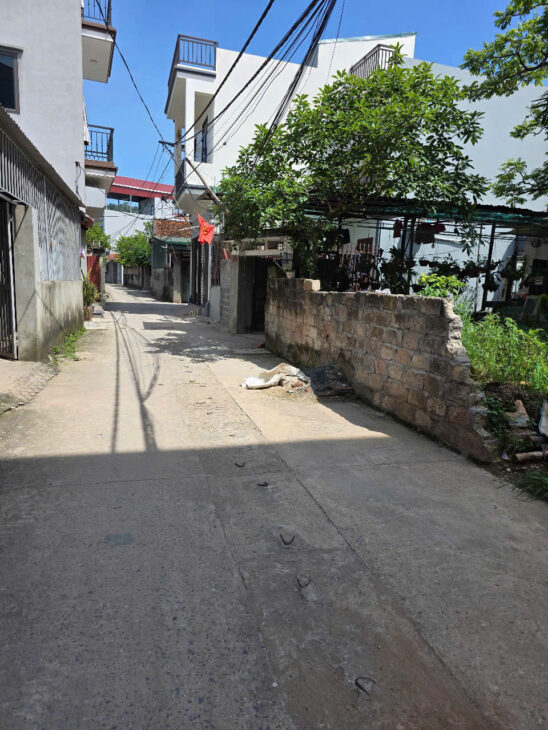 Bán gấp lô đất giá mềm tại Sài Sơn – Quốc Oai 75m², Ô tô đỗ cửa – Giá chỉ 5x tr/m²