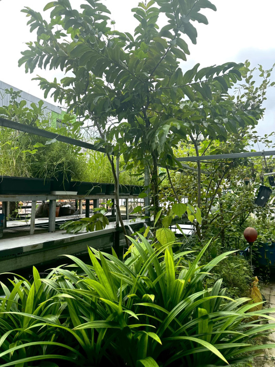 Toà căn hộ dịch vụ 15 phòng – Nguyễn Cửu Vân – Bình Thạnh thu nhập cao