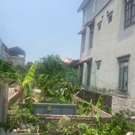 Bán Đất Phúc Thọ Mai Lâm-Đông Anh- 210m -Oto tránh – 13,1 tỷ (thương lượng)