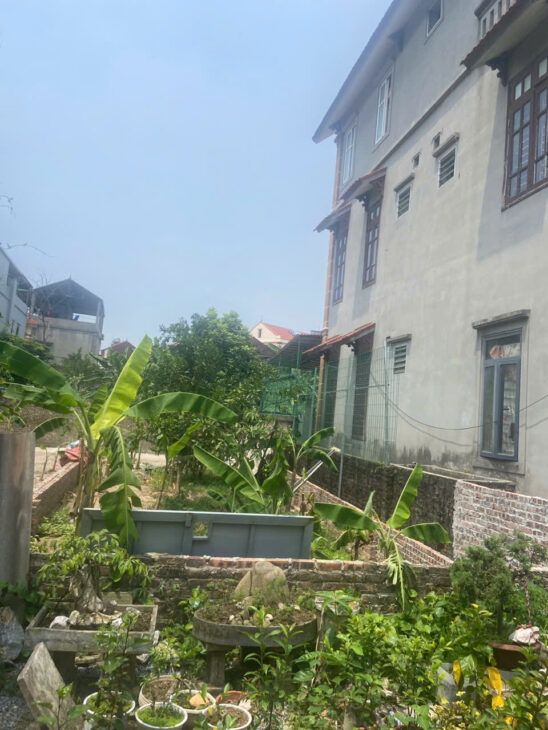 Bán Đất Phúc Thọ Mai Lâm-Đông Anh- 210m -Oto tránh – 13,1 tỷ (thương lượng)