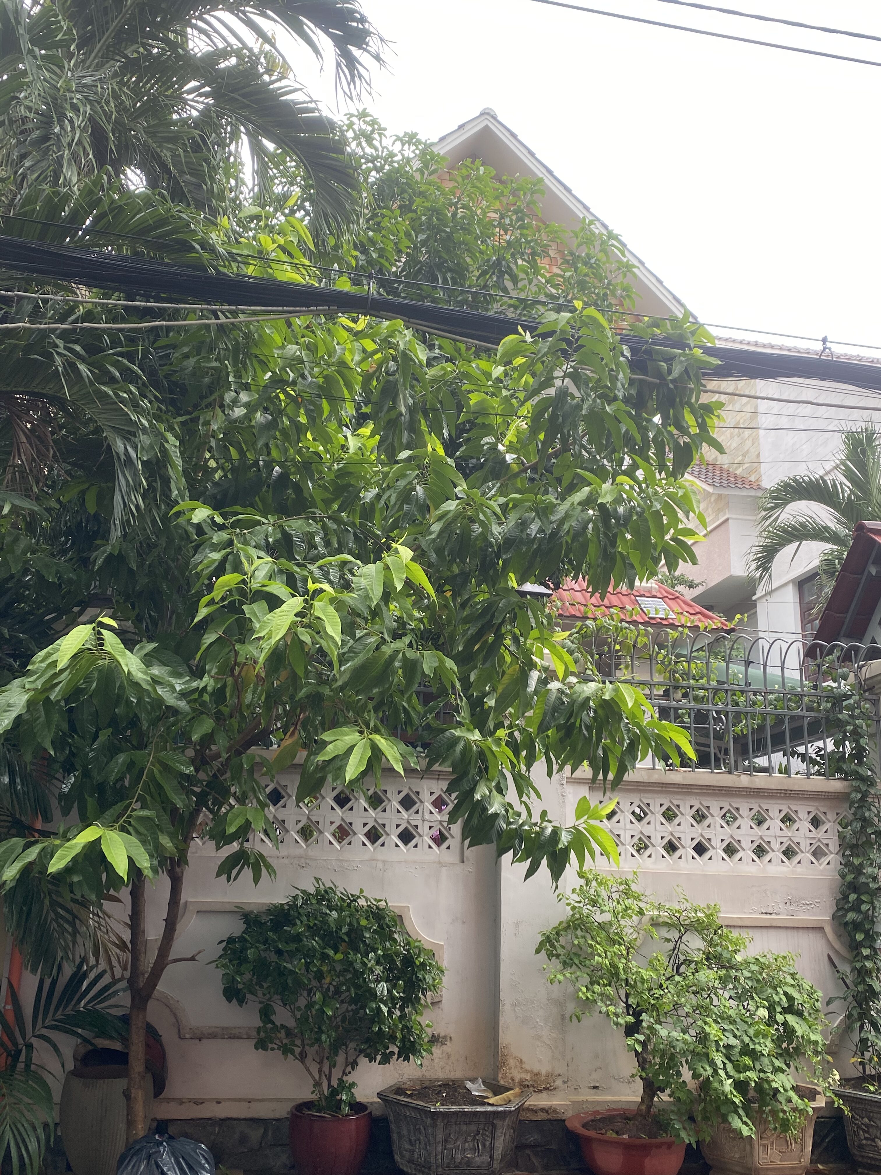 BÁN NHÀ MẶT TIỀN NGÔ QUANG HUY – THẢO ĐIỀN – 2 MẶT THOÁNG – VỊ TRÍ HIẾM