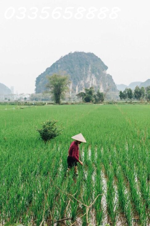 Review Du Lịch Hòa Bình: Trải Nghiệm “Vịnh Hạ Long Trên Cạn”