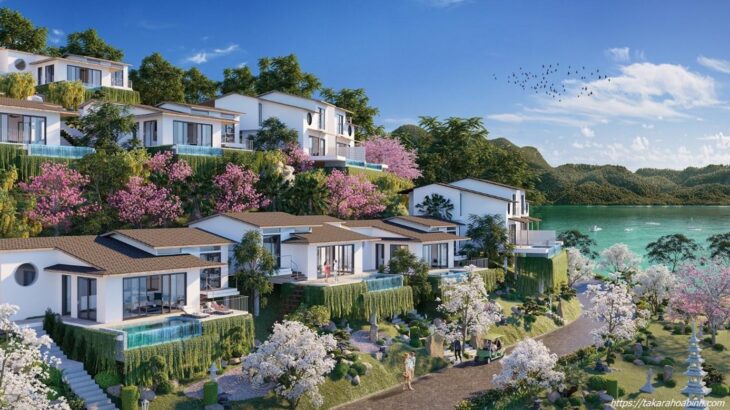 Hòa Bình: Lá Chắn Kiên Cố Cho Tương Lai – Nơi An Toàn Gặp Gỡ Đầu Tư Vĩnh Cửu!