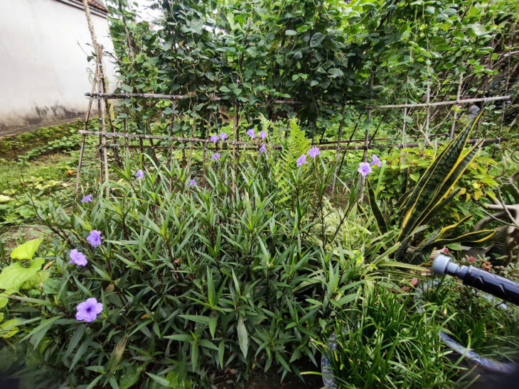 📣 BÁN ĐẤT VĨNH TRUNG – GẦN HỒ – NGÕ NÔNG – GIÁ TỐT! HƠN 3 TỶ