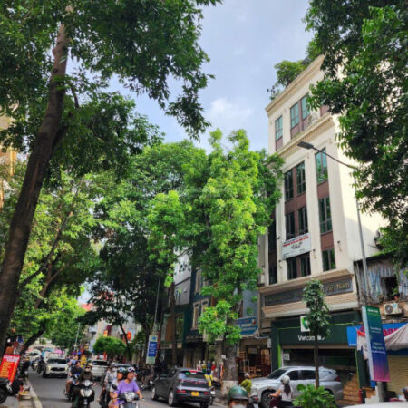 Bán tòa nhà MP Lò Đúc Hai Bà Trưng, lô góc đẹp hiếm, tiềm năng KD đỉnh giá 170 tỷ. LH: 0366 051 ***