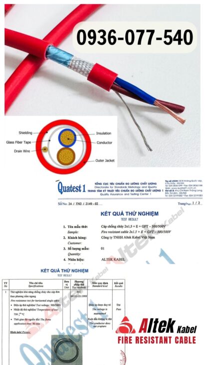 Thanh Avatar - Hà Nội Today