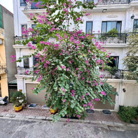 KHU PHÂN LÔ QUÂN ĐỘI- AN NINH TỐT- ĐƯỜNG BÀN CỜ- Ô TÔ ĐẺ VỈA HÈ