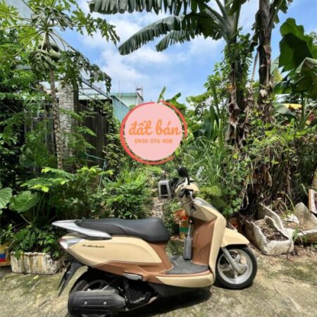 BÁN ĐẤT 80M² ĐƯỜNG SỐ NGUYỄN XIỂN, LONG THẠNH MỸ – GIÁ CHỈ 3 TỶ