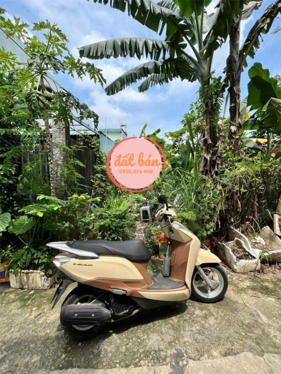 BÁN ĐẤT 80M² ĐƯỜNG SỐ NGUYỄN XIỂN, LONG THẠNH MỸ – GIÁ CHỈ 3 TỶ