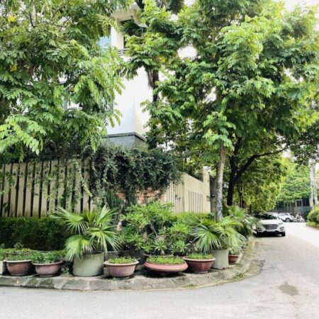 BIỆT THỰ SONG LẬP – ÁNH NẮNG RỰC RỠ – GÓC NÀO CŨNG CHILL!