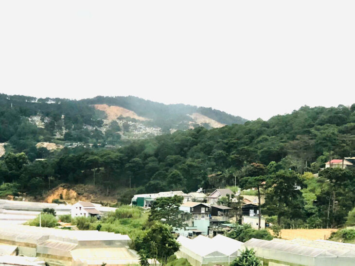 CHO THUÊ HOMESTAY AN SƠN P4 ĐÀ LẠT – 8PN, GPKD, PCCC, FULL NỘI THẤT – 22 TRIỆU/THÁNG