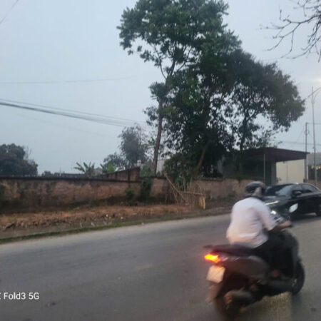 Chính chủ bán 1154m2 đất đầu tư, đường Lạc Hồng, Thì trấn Lâm Thao, Phú Thọ