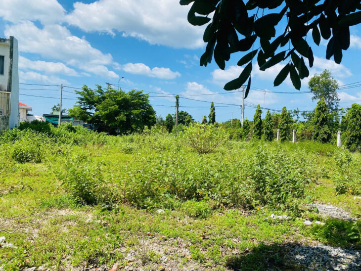 Bán đất full ODT Đường Quốc Lộ 55 – Tân Phước – LaGi chỉ 1.8 tỷ