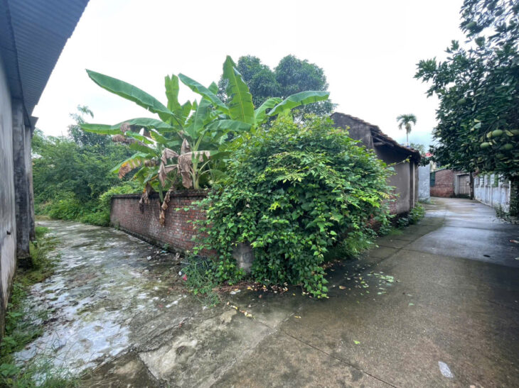 CHỈ NHỈNH 900 TRIỆU – ĐẤT ĐẸP PHÚC THỌ – SỔ SẴN SANG TÊN NGAY