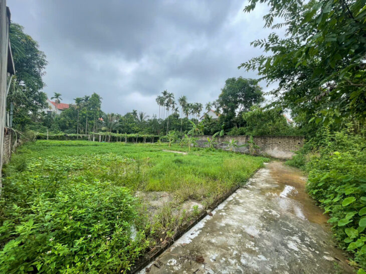 CHỈ NHỈNH 900 TRIỆU – ĐẤT ĐẸP PHÚC THỌ – SỔ SẴN SANG TÊN NGAY