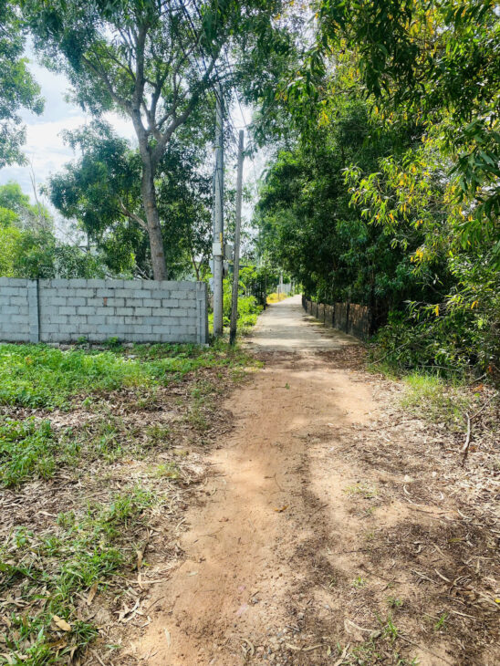 Bán 1.58 mẫu đất quy hoạch ODT Tân Phước – LaGi giá ngộp 696tr/ sào