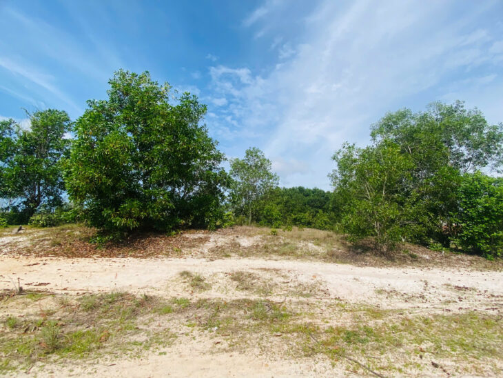 Bán 1.58 mẫu đất quy hoạch ODT Tân Phước – LaGi giá ngộp 696tr/ sào