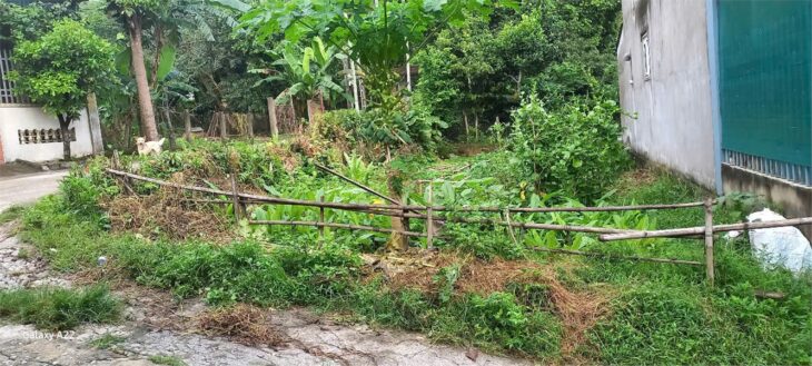 ĐẤT SIÊU ĐẸP – GIÁ ĐẦU TƯ- CHÍNH CHỦ Cần Bán Lô Đất Tại Xã Sơn Bình, hương sơn , hà tĩnh ĐẤT SIÊU ĐẸP – GIÁ ĐẦU TƯ- CHÍNH CHỦ Cần Bán Lô Đất Tại Xã Sơn Bình, hương sơn , hà tĩnh