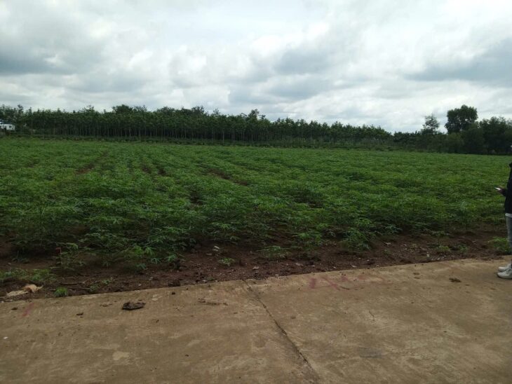 ĐẤT ĐẸP- Cần Bán Nhanh lô đất vị trí đẹp Khu An Linh huyện Phú Giáo, tỉnh Bình Dương