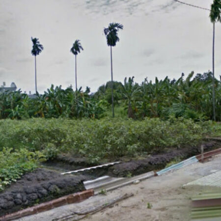 Bán đất 25x62m full thổ cư giá 25 triệu/m2 Đường 6m Thạnh Xuân 52