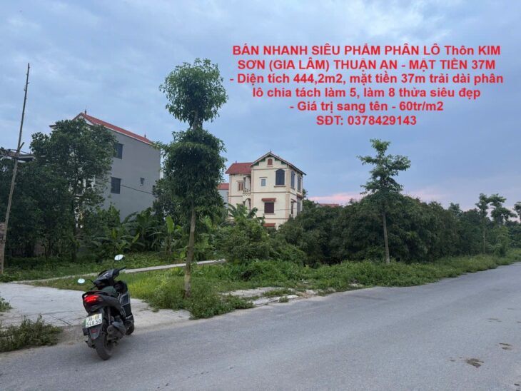 BÁN NHANH SIÊU PHẨM PHÂN LÔ Thôn KIM SƠN (GIA LÂM) THUẬN AN – MẶT TIỀN 37M