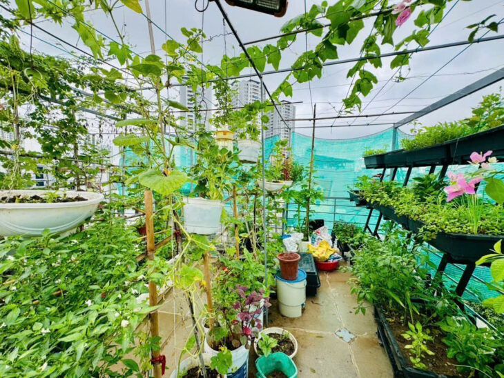 BÁN NHÀ NGUYỄN CHÍNH- HOÀNG MAI, 45/50 M2, 6 TẦNG, MT 14 M, GIÁ 12,5 TỶ.