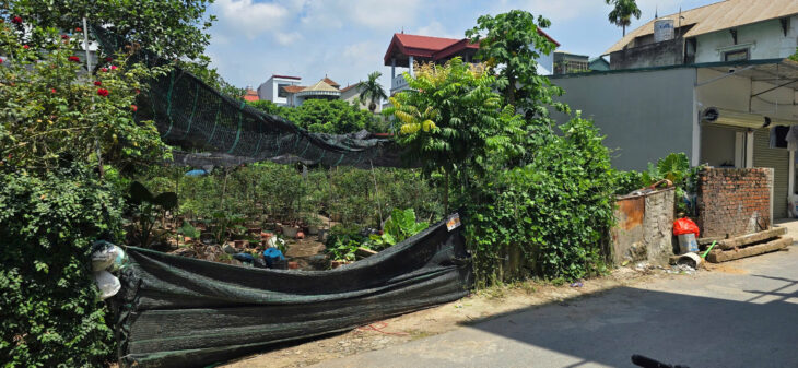 Bán đất mặt đường Yên Bình – Hòa Bình, phường Yên Nghĩa, Hà Nội. 258m2, MT 10m, miễn TG