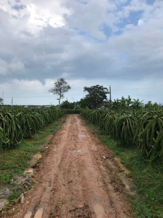ĐẤT SIÊU ĐẸP – GIÁ ĐẦU TƯ- Cần Bán Lô Đất Tại Xã Tân Thuận, Huyện Hàm Thuận Nam, Bình Thuận