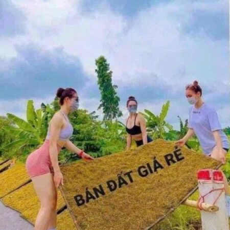 MẢNH ĐẤT VÀNG GIỮA LÀNG ĐÀO XUYÊN 57m2 CHỈ 3,9 TỶ Giá đầu tư cực ngọt – Xuống tiền là có lãi ngay!