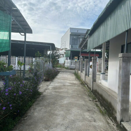 Bán 410m2 Lô Góc đất ONT Gần Biển Tân Phước – TX LaGi giá ngộp