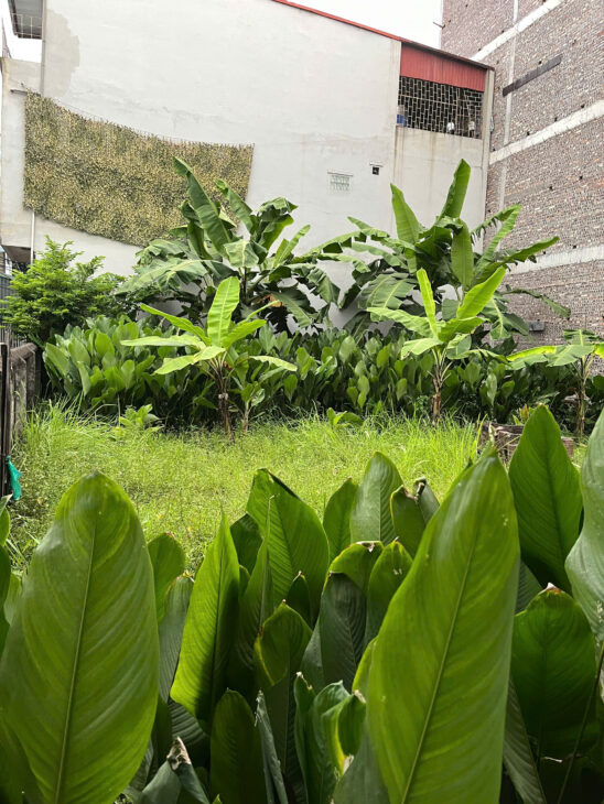 Cần bán 164m ĐẤT, MT 8,5m Bồ Đề giá 24,5ty ,oto KD