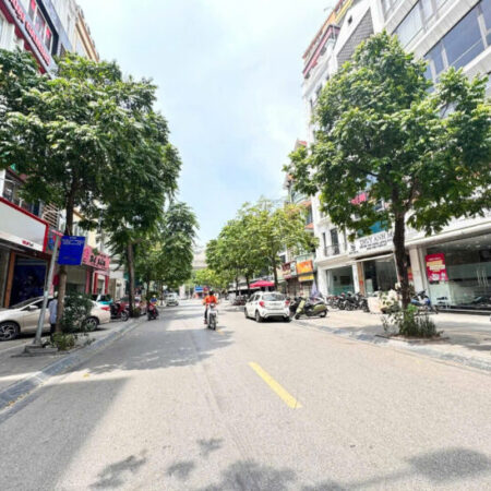 Siêu phẩm phố cổ vừa hot, lại hiếm Nguyễn Trường Tộ, Ba Đình cũ, sổ vuông đét , 2 mặt phố, DT đất