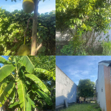 CẦN BÁN NHÀ VƯỜN TRUNG TÂM K1 NÚI THÀNH – VỊ TRÍ ĐẸP, TIỀM NĂNG SINH LỜI CAO