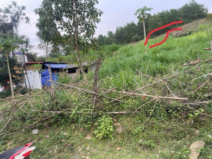 ĐẤT ĐẸP – GIÁ TỐT – CHÍNH CHỦ BÁN Đất Tại Thôn Đồng Thóc, Thạch Quảng, Thạch Thành, Thanh Hoá.