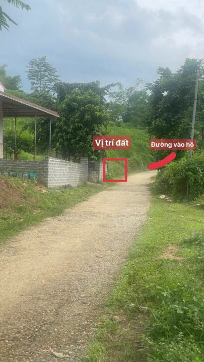 ĐẤT ĐẸP – GIÁ TỐT – CHÍNH CHỦ BÁN Đất Tại Thôn Đồng Thóc, Thạch Quảng, Thạch Thành, Thanh Hoá.