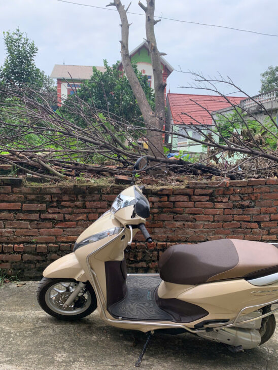 cc cần bán 51,5m đất full tc đường 4m ô tô ngủ trong đất cách ql6 1km giá 1x tỉ